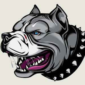 Meet your Posher, Jesslynn